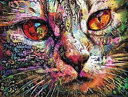 cool cat art